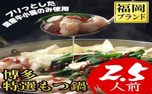 博多特選もつ鍋 2.5人前 4R14