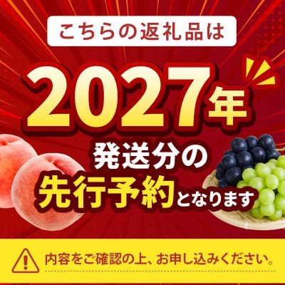 2027年発送先行受付【強い甘みの大玉硬質桃なつっこ】本場山梨の品種指定キャンペーンお試し約1kg　【配送不可地域：離島・北海道・沖縄県・中国・四国・九州】