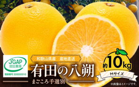 【2027年先行予約】和歌山県産 有田の八朔 (はっさく) 約10kg 【Mサイズ】まごころ手選別 _ZE6074n