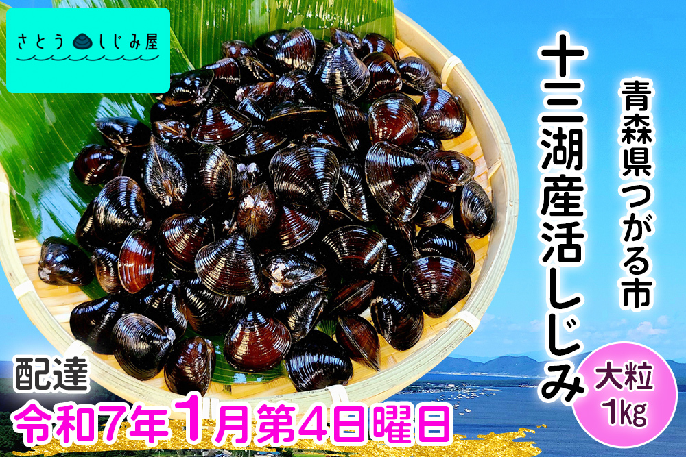 [令和7年1月第4日曜日配達] さとうしじみ屋の十三湖産活しじみ(大粒1kg)[冷蔵]｜十三湖産 青森 津軽 つがる しじみ みそ汁 味噌汁 しじみ汁 活しじみ 冷蔵 [0599]