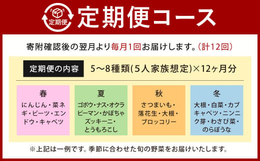 【12回定期便】若松産神田野菜 季節の野菜 詰め合わせ