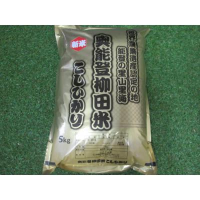 ふるさと納税 能登町 令和8年産奥能登柳田米　こしひかり5Kg　精米