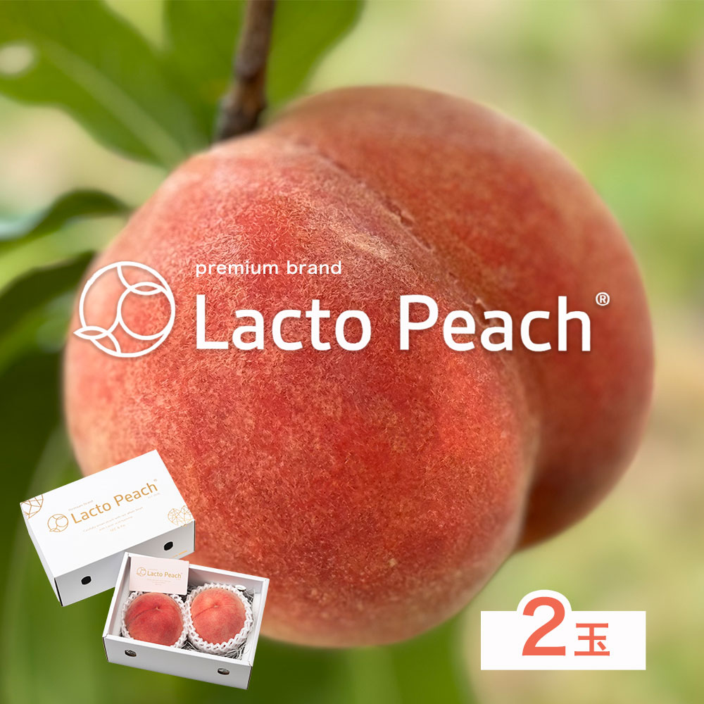 【ふるさと納税】【先行予約】乳酸菌で育てた あら川の桃 Lacto Peach ラクトピーチ 2玉《7月上旬-8月上旬頃出荷》 2玉入箱 和歌山県産 辻本農園 SEC & Co. 紀の川市 果物 フルーツ 桃 もも モモ 旬