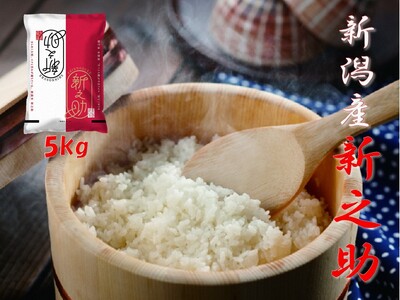 【令和7年産】阿賀野市産「新之助」5kg（5kg×1袋） 安田興和農事 白米 精米 生産者直送 新潟県 米 こめ コメ 1W10016