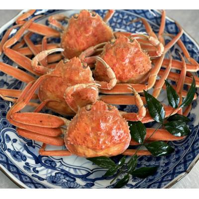 ふるさと納税 加賀市 【冷蔵発送】朝茹で香箱ガニ(ズワイガニのメス)姿4杯セット 2025年11月上旬以降発送