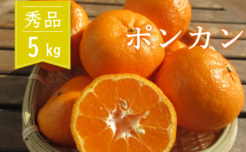 ぽんかん 秀品 5kg 早期受付開始 2027年1月中旬～発送 高知 蜜柑 みかん 先行予約 果物 くだもの フルーツ 柑橘 濃厚  産地直送 農家直送  国産 ギフト 贈答 高知県産 須崎 熟成みか