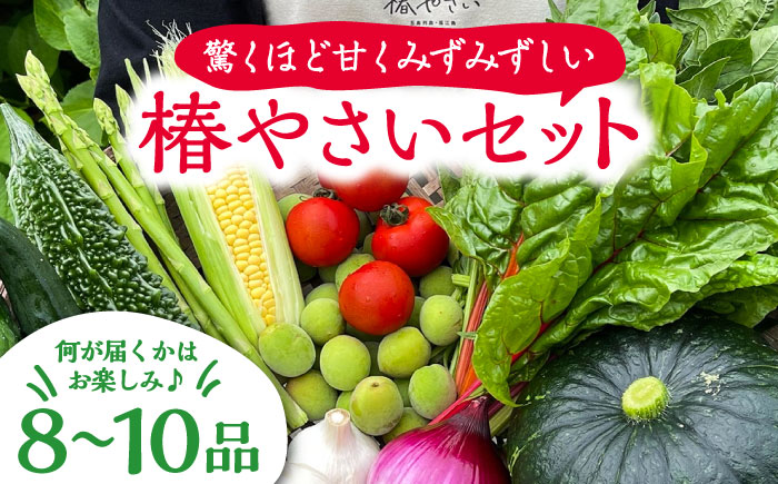 何が届くかはお楽しみ 椿やさいの野菜セット(8-10品)詰合せ 五島市/いきいきファーム [PCY001]