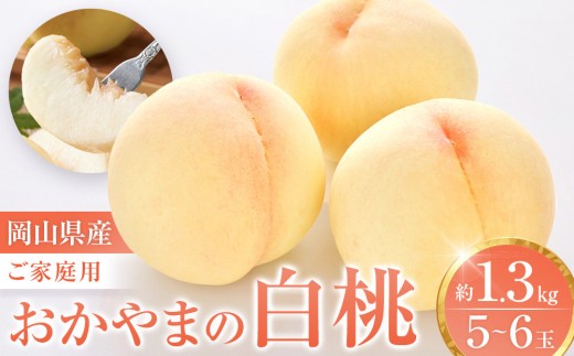 【先行予約】数量限定 おかやまの白桃 1.3kg 5～6玉（ご家庭用）【岡山 もも 桃 白桃 果物 フルーツ 甘い おいしい 人気 おすすめ 岡山県産 モモ 家庭用】