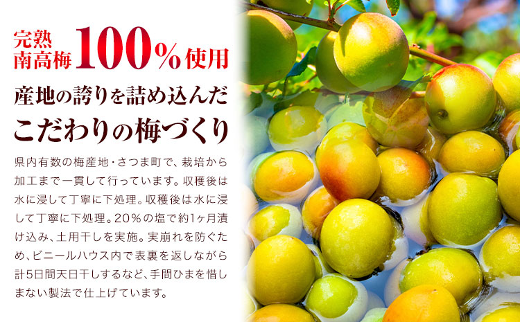 訳あり はちみつ漬け梅干し 350g×4箱 農事組合法人 梅香丘 《30日以内に出荷予定(土日祝除く)》鹿児島県 さつま町 うめぼし 蜂蜜 お取り寄せ プレゼント---stm-umk-1-1400g-
