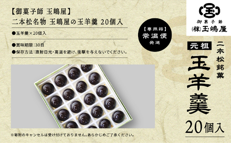 二本松の名物 銘菓《玉嶋屋の玉羊羹》20個入り【御菓子師 玉嶋屋】