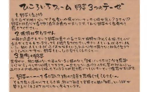 農家のおすそわけ（訳アリ）野菜便（お試し）【 農家 野菜詰め合わせ 野菜 詰め合わせ セット 訳あり 】 RT3405
