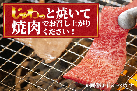 ＜宮崎牛モモ焼肉400gと宮崎県産和牛小間切れ200g 総量600g＞【数量限定】【MI236-my】【ミヤチク】