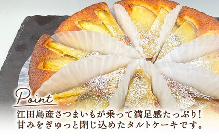 【全12回定期便】濃厚なさつまいもの甘み !  てくてくのさつまいもたると ホール5号× 2個セット 人気 お菓子 スイーツ 美味しい 和菓子 ギフト プレゼント 江田島市/峰商事合同会社[XAD07