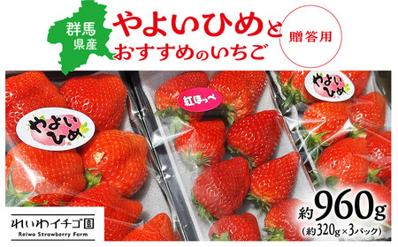 【2026年 先行予約】 いちご 「やよいひめ」と「おすすめのいちご」 320ｇ×3トレー 群馬県産 【贈答用】 ｜いちご いちご いちご いちご いちご