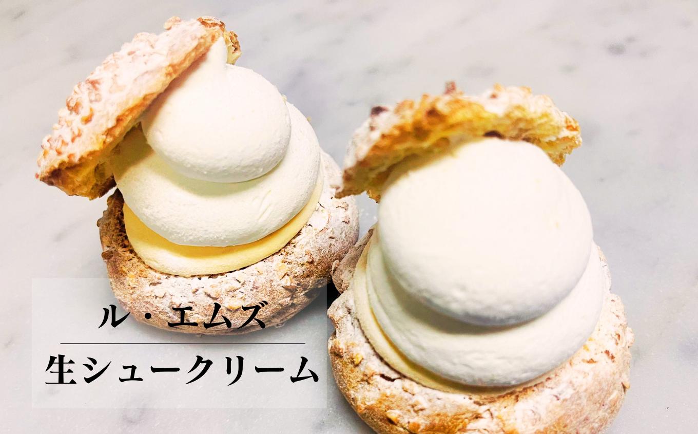 カスタード×生クリーム！2層の生シュークリーム10個入り【ル・エムズ】