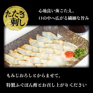 ふぐ たたき 刺身 一汐干し 天然 冷凍  真ふぐ まふぐ 低カロリー 高タンパク 低脂肪 コラーゲン ポン酢 もみじ 付き 下関 山口 AU429