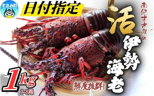 活 伊勢海老 【日付指定】 南紀すさみの活き伊勢海老 約1kg(2匹)【日付指定必須】お正月 伊勢海老 伊勢エビ イセエビ 海老 えび エビ 活き 天然 すさみ町【eki109A】
