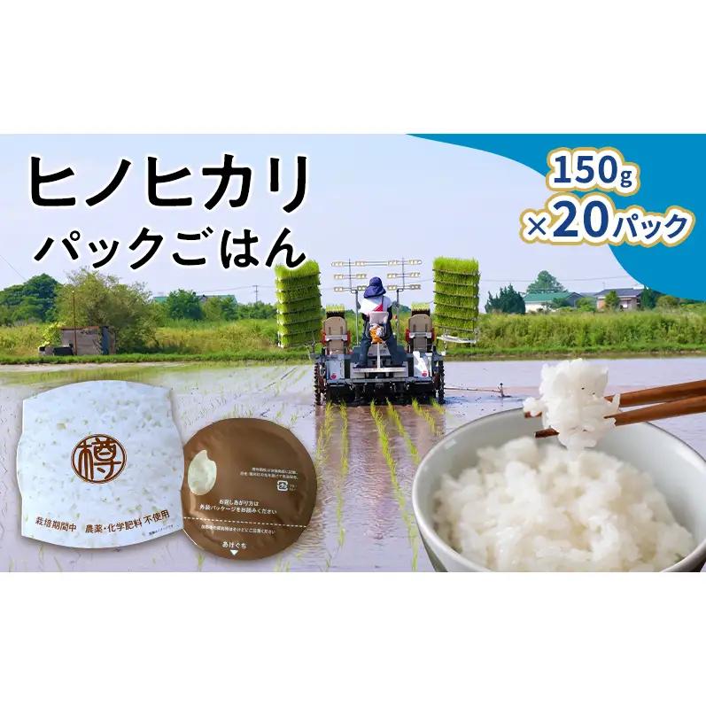 米 パックごはん 150g入×20パック パック お米 コメ