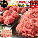 【ふるさと納税】国産豚肉切り落とし5kgラッキーセット - 国産豚 切り落とし 250g×20袋 5kg 豚肉 小分けパック 大容量 使い勝手抜群 送料無料 17-3605【宮崎県都城市は2年連続ふるさと納税日本一！】