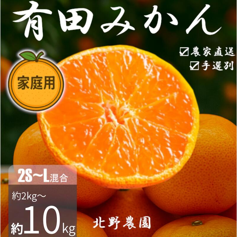 【ふるさと納税】 有田みかん 家庭用 訳あり 和歌山 2S～Lサイズ 大きさお任せ 約2kg 約3kg 約5kg 約10kg【11月上旬～翌年1月下旬頃に順次発送】/ 訳あり 訳有 みかん フルーツ 果物 くだもの 有田みかん 蜜柑 柑橘