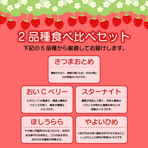 訳あり いちご 食べ比べ 2品種 セット 計500g (250g×2パック) 完熟 苺 家庭用 先行予約 