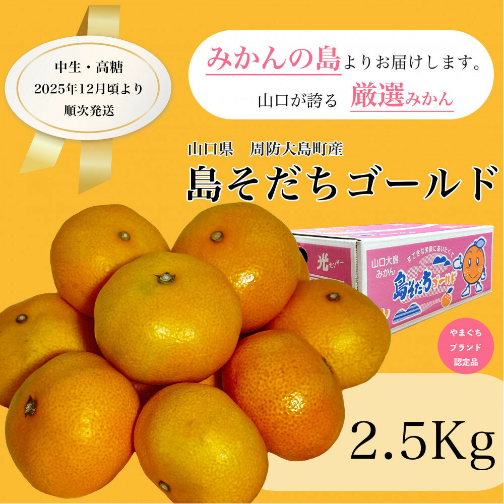 【ふるさと納税】【やまぐちブランド認定品】2025年12月頃より順次発送!島そだちゴールド(中生・高糖) 2.5kg