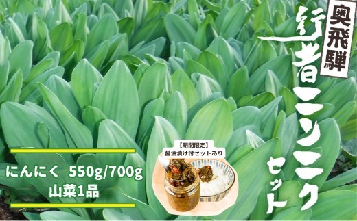 
                  《先行予約》【2027年4月下旬～5月上旬発送】選べる内容量 奥飛騨産とれたて新鮮 生行者ニンニク 550g / 700g , 山菜1品 行者ニンニク 行者にんにく 醤油漬け 【4月下旬～5月上旬発送】[Q654xch Q655xch] 10000円 1万円 12000円
                