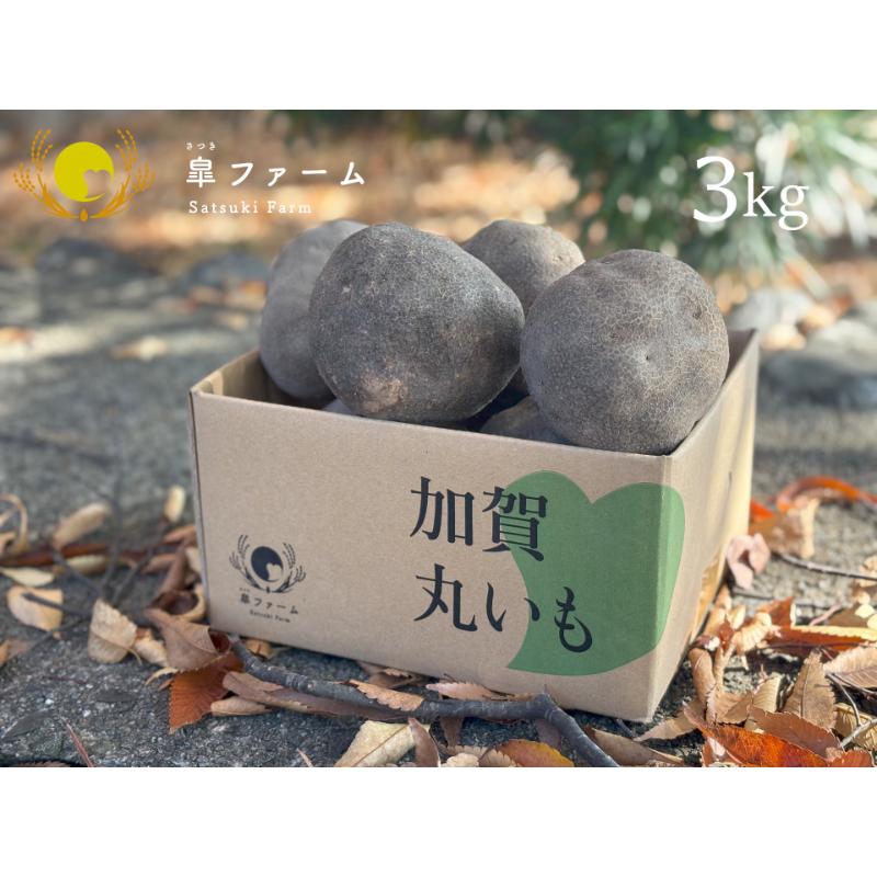 【ふるさと納税】【先行予約】能美市特産品加賀丸いも 3kg 　お届け：2025年11月25日～2025年12月31日まで
