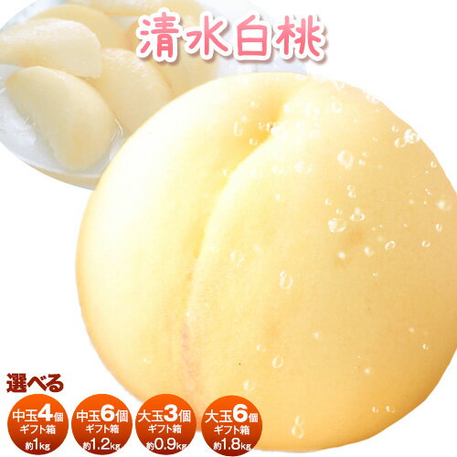 【ふるさと納税】桃 清水白桃 白桃 もも ギフト箱入り 選べる 中玉4個(約1kg) 中玉6個(約1.2kg) 大玉3個(約0.9kg) ふじまる《2025年7月中旬-7月下旬頃出荷》岡山県 笠岡市 送料無料 岡山 はくとう フルーツ 果物 デザート 旬 お取り寄せフルーツ