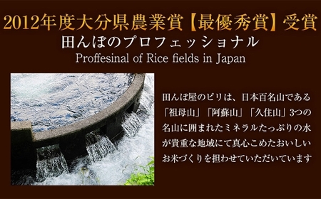 【 人気の2銘柄を食べ比べ！ 】 厳選国産米 2種セット 【 ヒノヒカリ × ひとめぼれ 】 （ 各5kg 計10kg ）