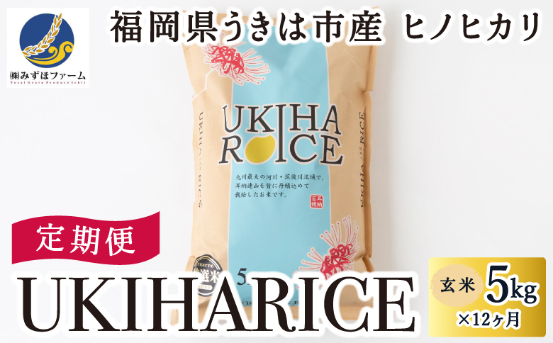 【12ヶ月定期便】みずほファーム UKIHA RICE (玄米5kg×12ヶ月)  【2025年11月より順次発送予定】 米 ヒノヒカリ  玄米 お米 ご飯 うきは市