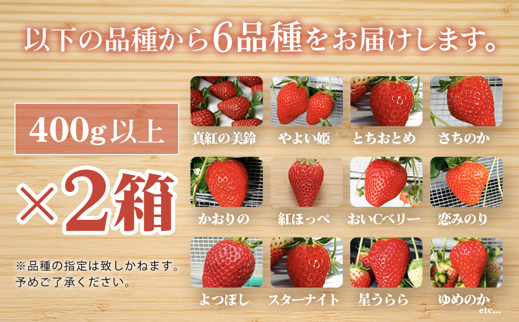 【2月から発送】自宅でいちご狩り気分! 完熟いちご6品種食べ比べセット 800g以上 ／いちご イチゴ 苺 果物 くだもの フルーツ 旬のくだもの 季節のフルーツ 食べ比べ 詰め合わせ セット 希少品