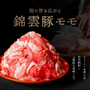 【 定期便 3回 】高級 ブランド 錦雲豚 モモ 切り落とし 1kg | お肉 肉 おにく 豚 ぶた 豚肉 もも モモ肉 もも肉 豚もも 切落し 定期 大分県 中津市