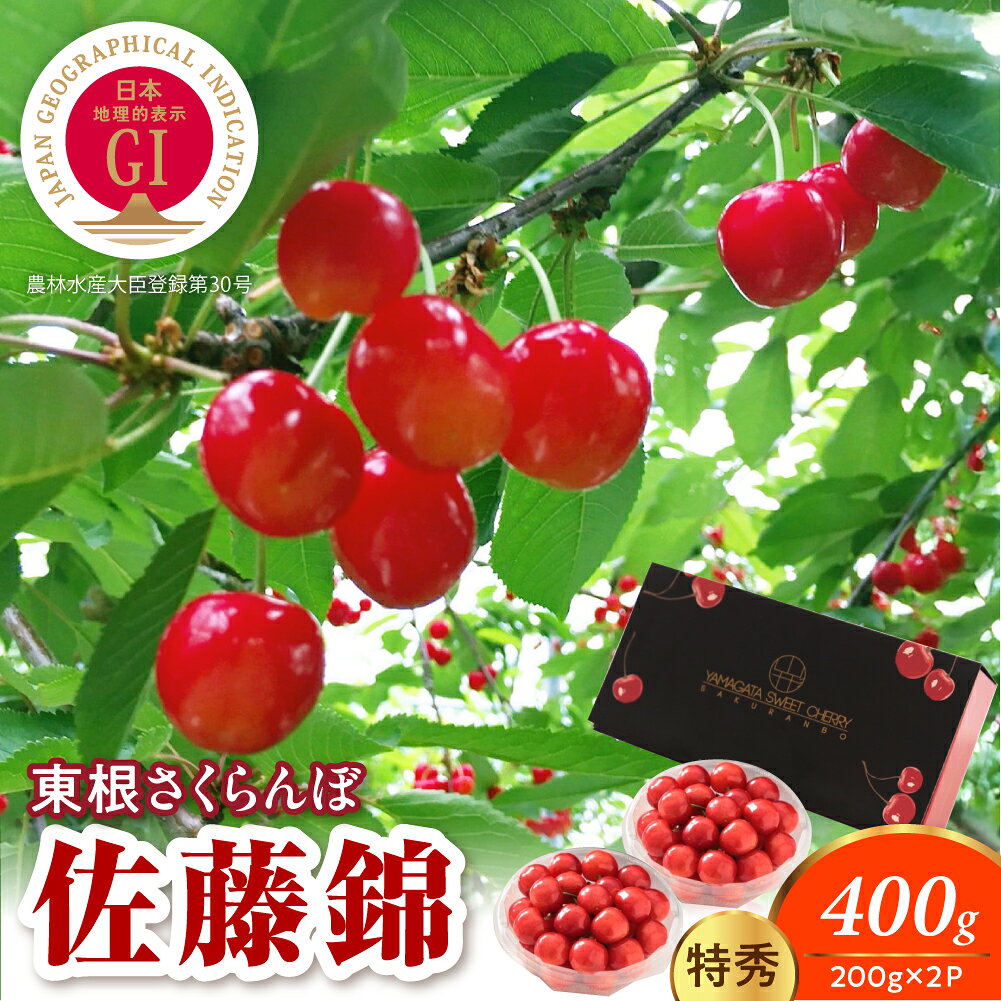【ふるさと納税】【 2027年産 先行予約 】 GI 東根さくらんぼ 佐藤錦 400g ( 200g × 2P ) 特秀 L以上 | フルーツ 果物 くだもの サクランボ チェリー パック 期間限定 先行受付 お取り寄せ グルメ ご当地 特産 産地直送 冷蔵 送料無料 東北 山形県 東根市