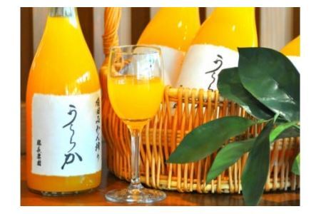 有田みかん搾り「うららか」4本セット(B291-2)