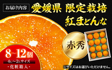  【11月下旬から順次発送】紅まどんな 赤秀 8個-12個入 柑橘 紅まどんな みかん 果物 フルーツ[AGBA002]