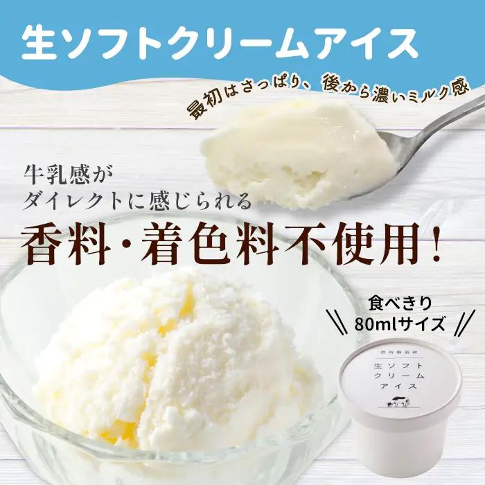〈1週間以内発送〉着色料・香料不使用！生ソフトクリームアイス　16個入り アイスクリーム ミルク アイス 根羽村 ネバーランド 12000円