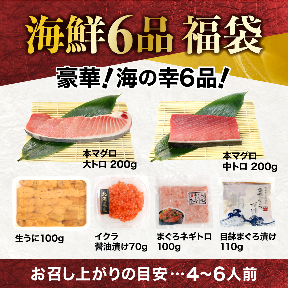 【定期便/計3回】豪華海鮮6品福袋【DG002-t3】|いわき市 ふるさと納税 株式会社東日本貿易 鮪 まぐろ 雲丹 イクラ さかな 海鮮丼 手巻寿司 刺し身 さしみ いくら醤油漬 無添加うに 詰め合