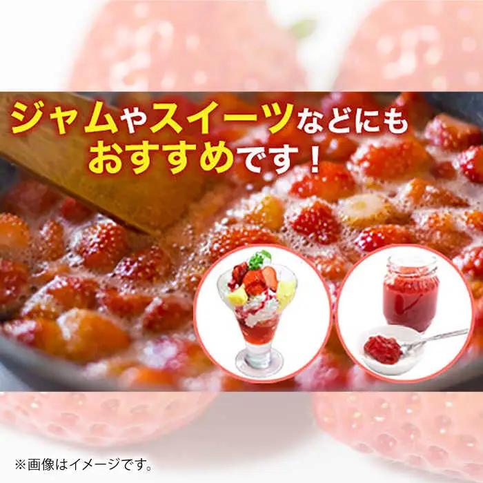 【先行予約】恋みのり 約1kg 果物いちご苺ZBG062