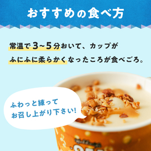 951アイスクリーム　24個セット