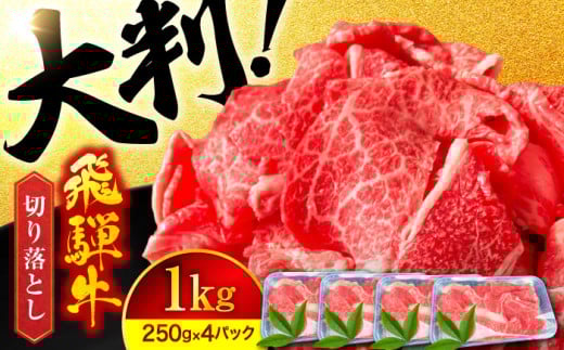 ＜ボリューム満点！＞ 飛騨牛 A5ランク 切り落とし 1kg (250g×4)【有限会社マルゴー】国産牛 和牛 霜降り [MBE003]