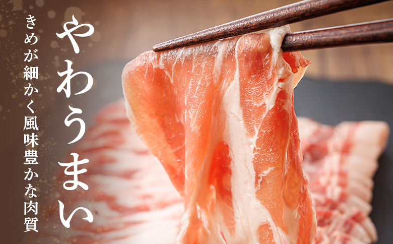 ルスツ豚詰め合わせ 1.05kg 約1kg ルスツ豚 ブランド豚 豚肉 豚 ぶた肉 留寿都村 ルスツ ふるさと納税 オンライン バラ ロース 肩ロース スライス ウインナー あらびきウインナー セット