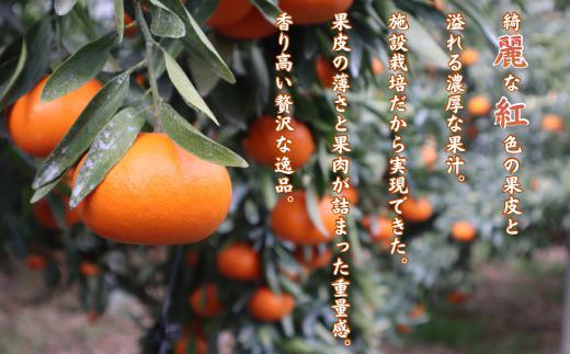 綺麗な紅色の果皮と溢れる濃厚な果汁。