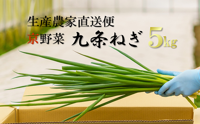 生産農家直送 京野菜・九条ねぎ5kg〈ねぎ ネギ 葱 九条ねぎ 京野菜 京都 新鮮 甘い 農家直送 野菜〉 