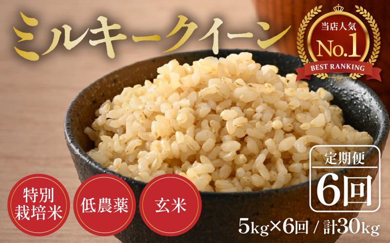 
                  【令和8年産】《定期便6回》5kg×6回 30kg 特別栽培米 ミルキークイーン 玄米 低農薬《食味値85点以上！こだわり玄米》 / 福井県 あわら市 北陸 米 お米 人気 [aw032-h004]
                