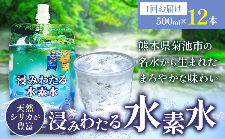 浸みわたる水素水 12本(6L)内容量 1本500ml 《30日以内に出荷予定(土日祝除く)》水 水素水 天然水 飲料水 ミネラルウォーター アルミパウチ パウチ 国産 九州産 熊本県産 菊池市産--