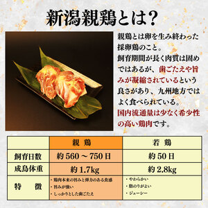 親鶏 かしわめしの素 6個 150g × 6個 鶏肉 鶏 チキン タンパク 炊き込みご飯 混ぜご飯 肉 とり 精肉 冷凍 小分け 簡単調理 ブランド鶏 おかず おつまみ 米 新潟親鶏 新潟産 新発田産