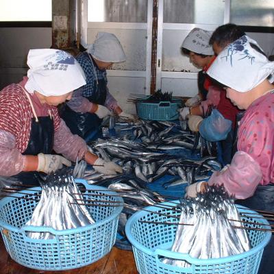ふるさと納税 熊野市 さんま丸干し 20本 魚作商店 3代目の丸干し製法 |  | 03