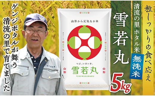 令和8年産 【無洗米】最上町産 ホタル米雪若丸5kg×1袋