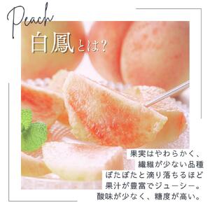 桃 白鳳 約2kg 箱 (8～9個) 【秀品】 カキエモン農園【BX-kkem027】